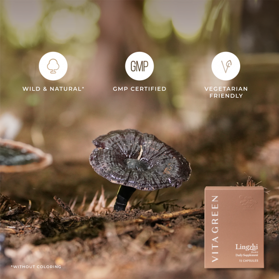 Reishi Supplement - 3 Month Supply