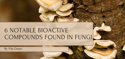 6 Notable Bioactive Compounds Found in Fungi