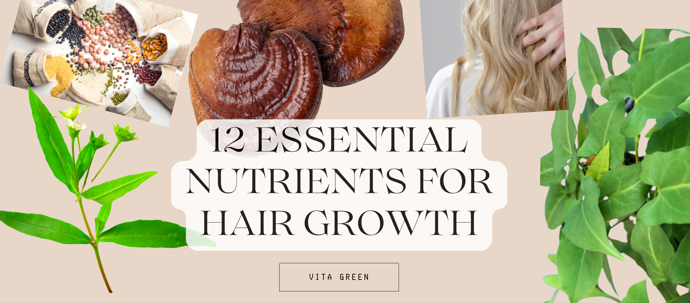 12 Essential Nutrients for Hair Growth