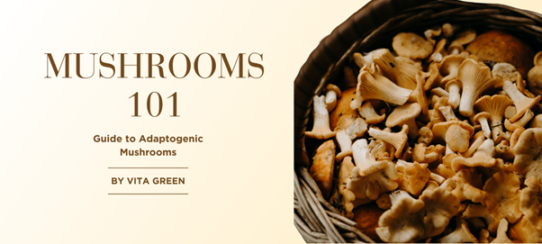 Mushrooms 101: Guide to Adaptogenic Mushrooms