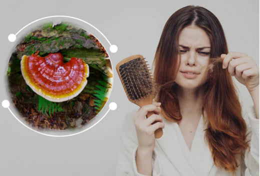 10 Benefits of Reishi Mushroom For Hair Loss