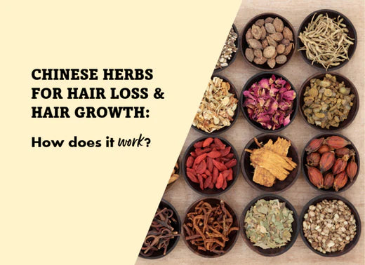 Top 13 Leading Chinese Herbs To Help Your Hair Loss And Hair Growth Problems- Backed Up By Science