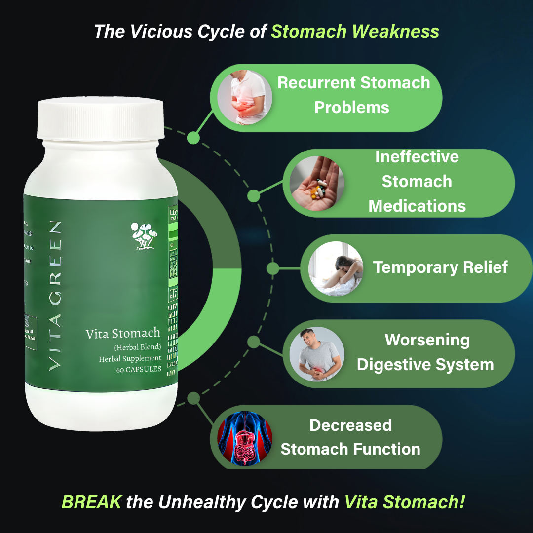 Vita Stomach Herbal Supplement (60 Capsules)