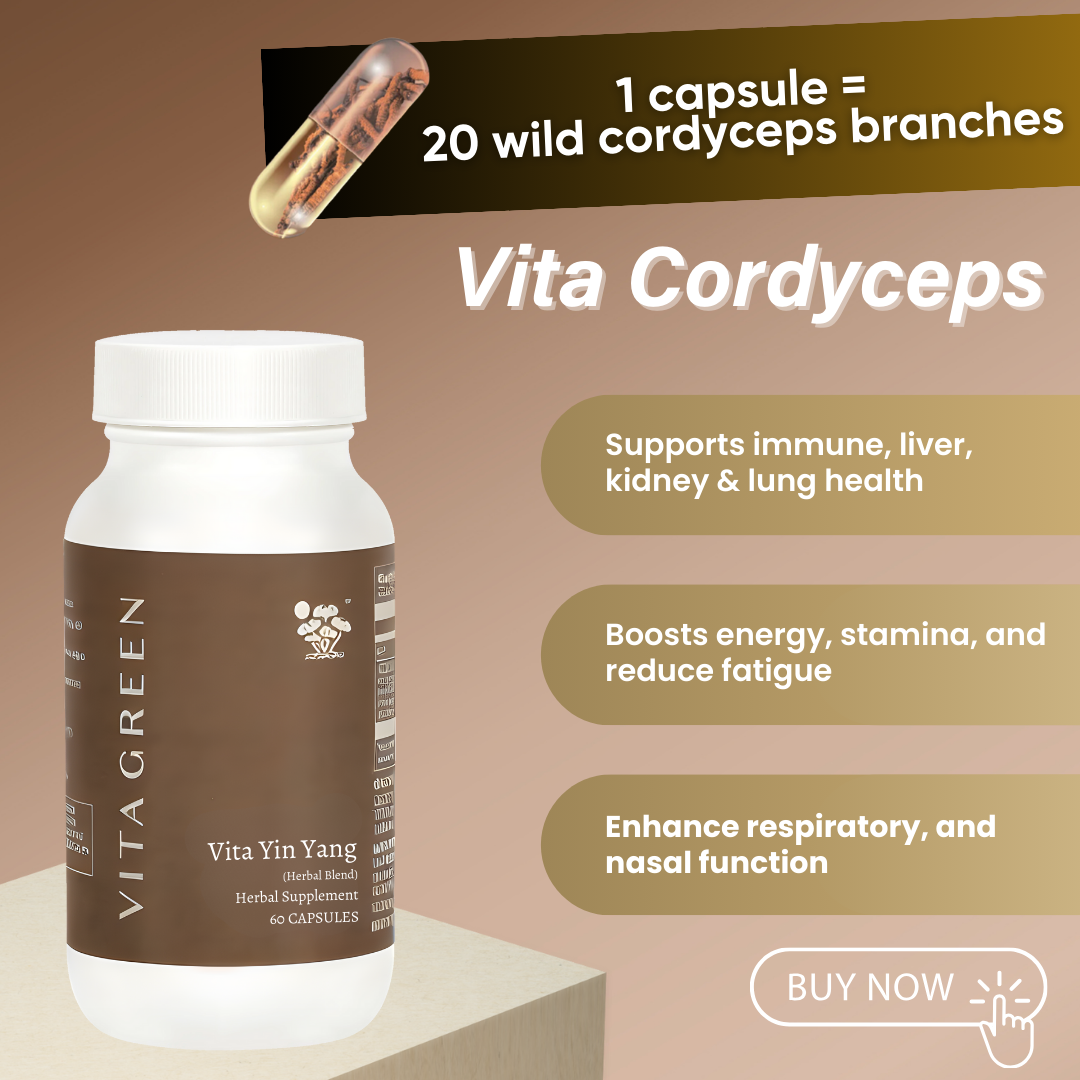 Vita Cordyceps Herbal Supplement (60 Capsules)