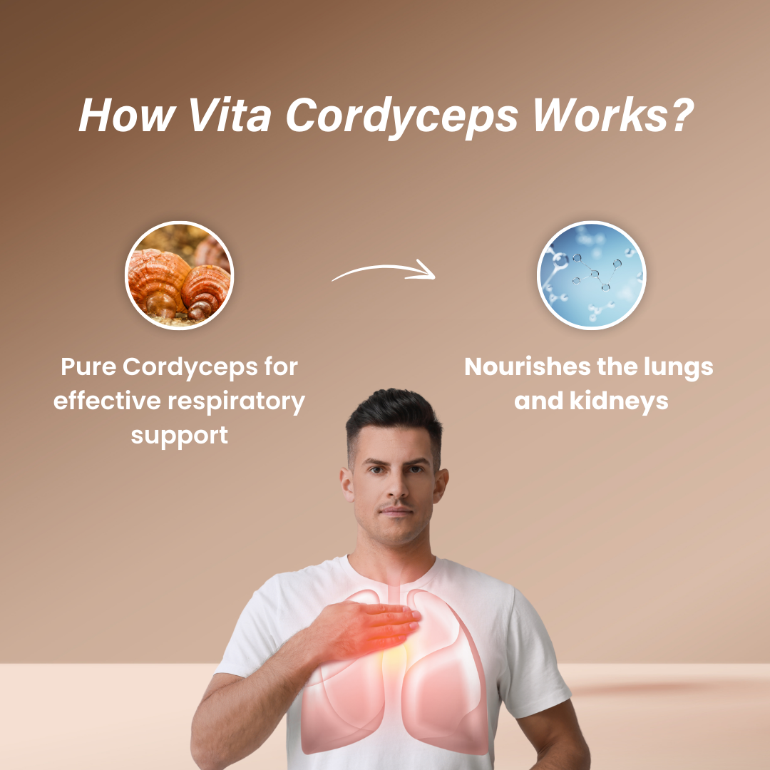 Vita Cordyceps Herbal Supplement (60 Capsules)