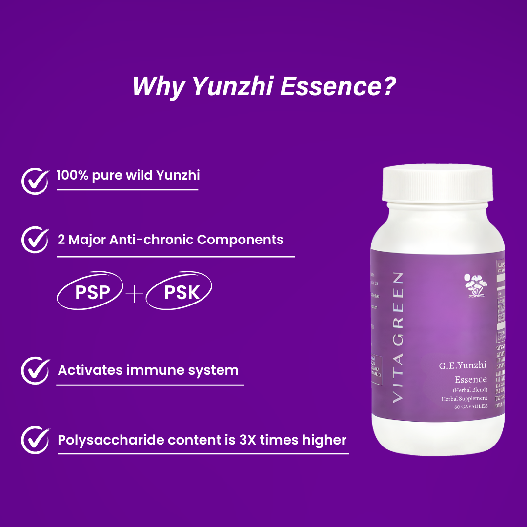 G.E. Yunzhi Essence Herbal Supplement (60 Capsules)