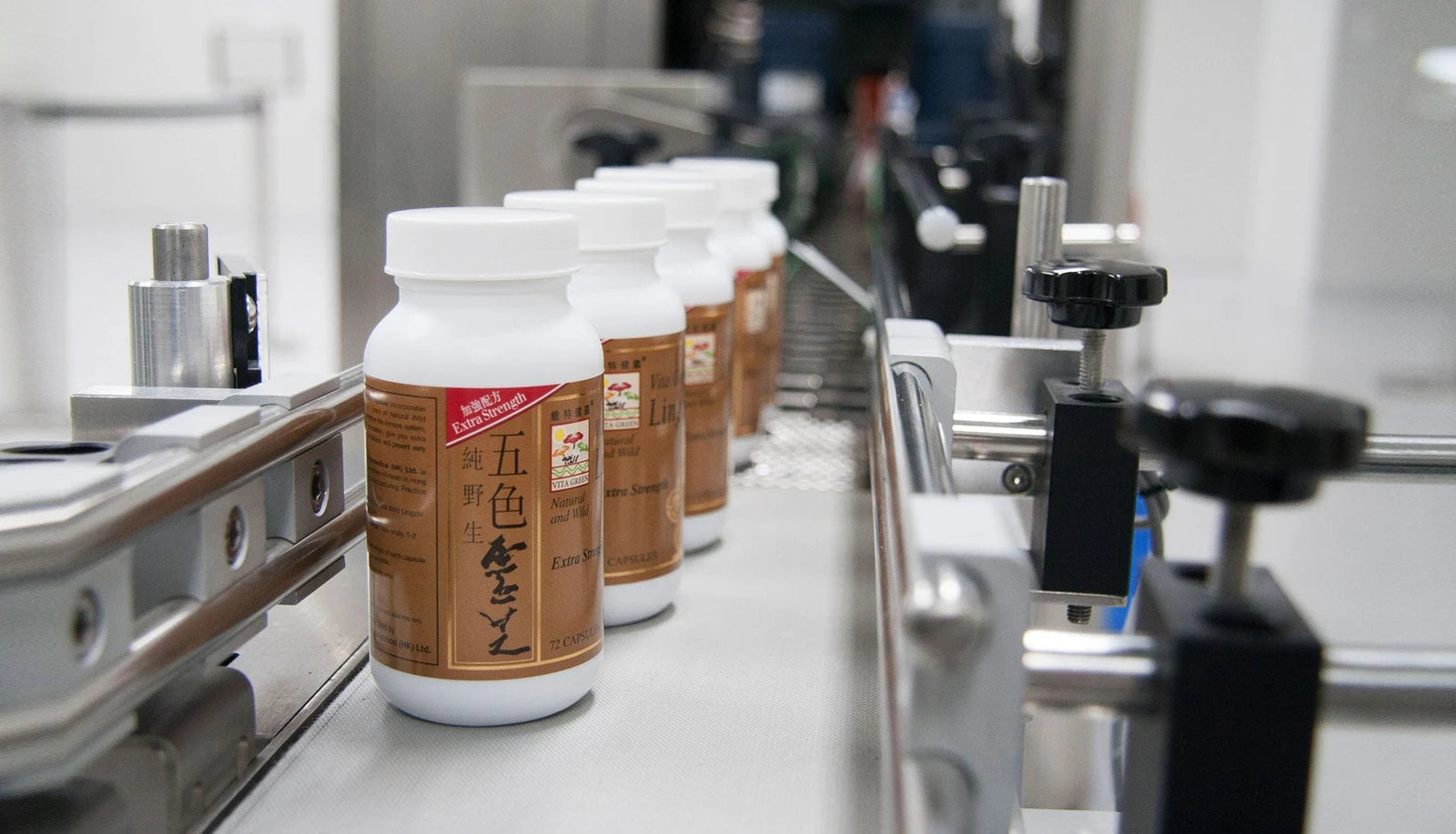 Vita Green Lingzhi bottles on the company’s bottling line